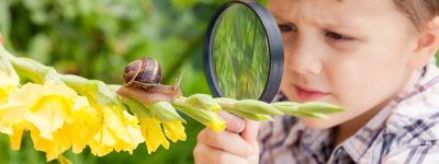 happy-little-boy-playing-in-the-park-with-snail-P35W269.jpg